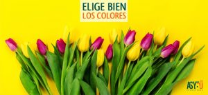 paleta-colores-diseno-grafico